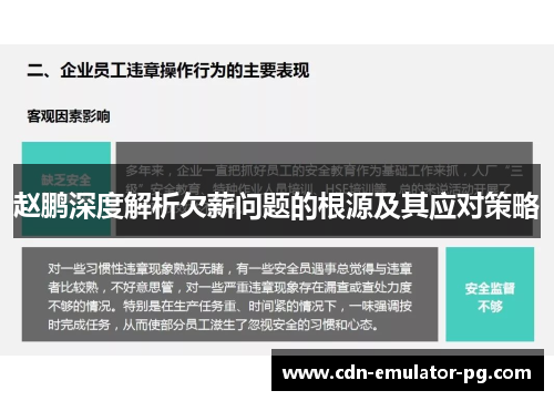 赵鹏深度解析欠薪问题的根源及其应对策略