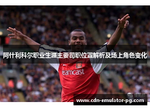 阿什利科尔职业生涯主要司职位置解析及场上角色变化